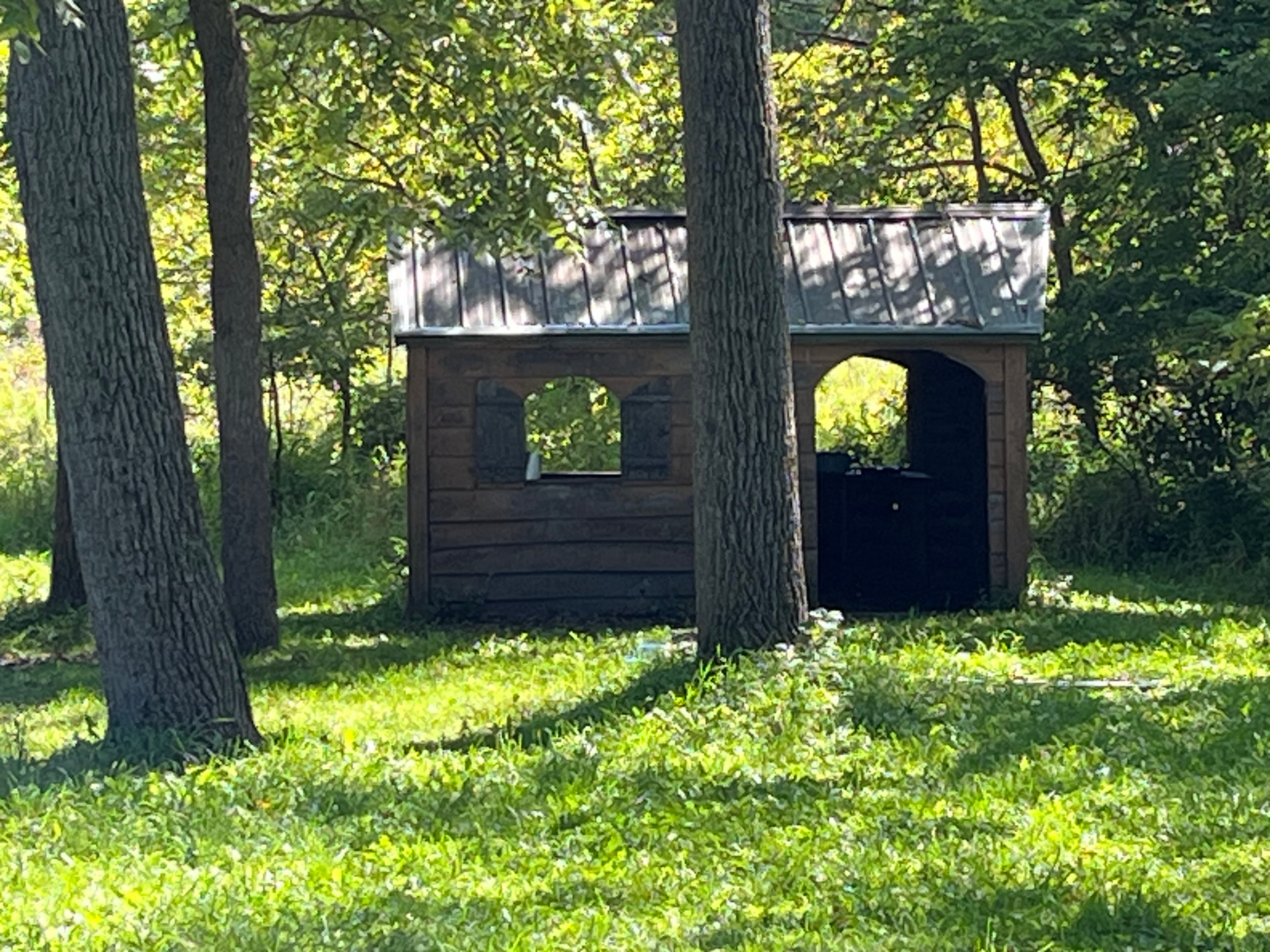 A small wooden shed stands among trees in a grassy area.