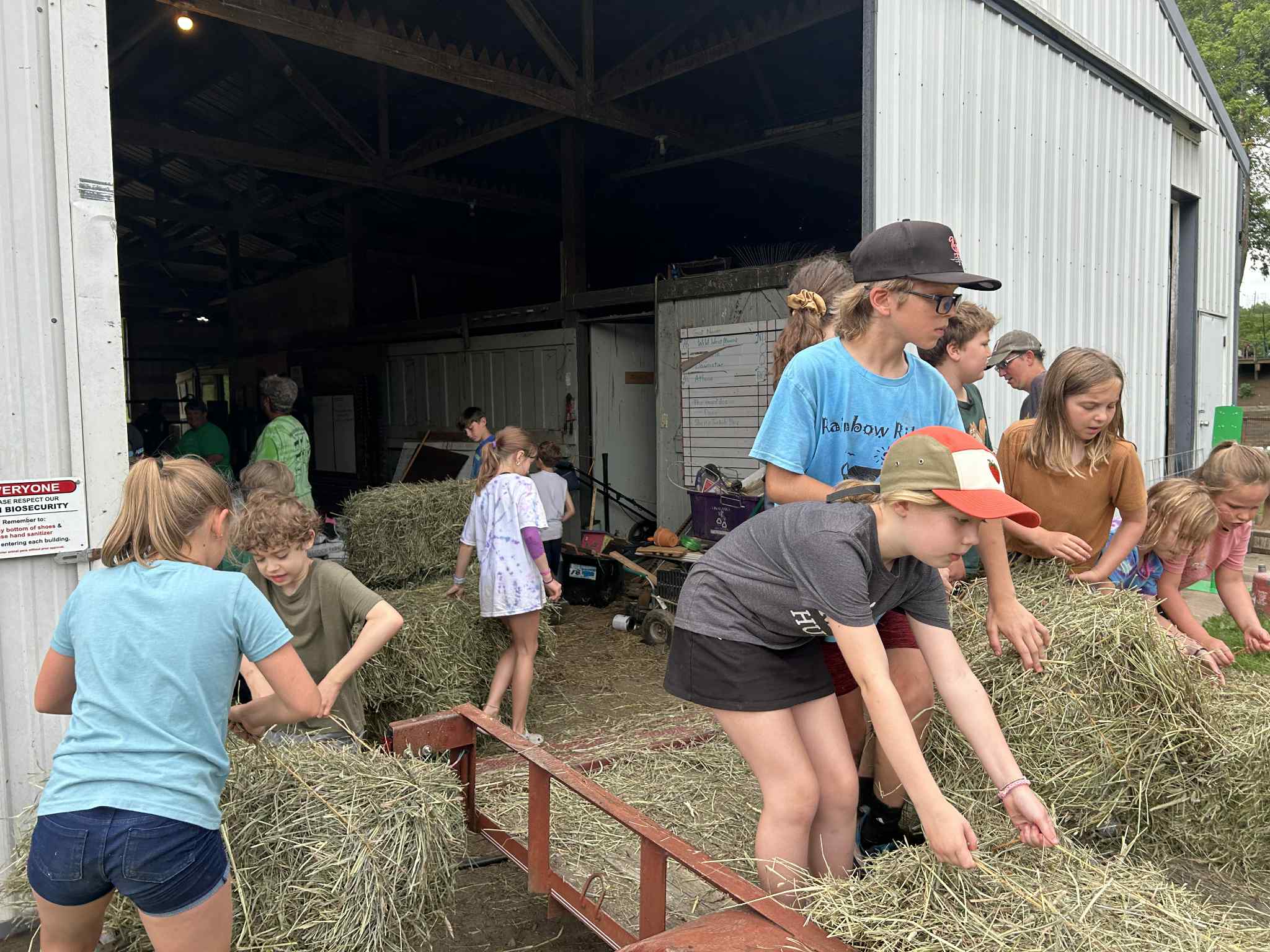 A group of children is stacking hay bales outside a barn.