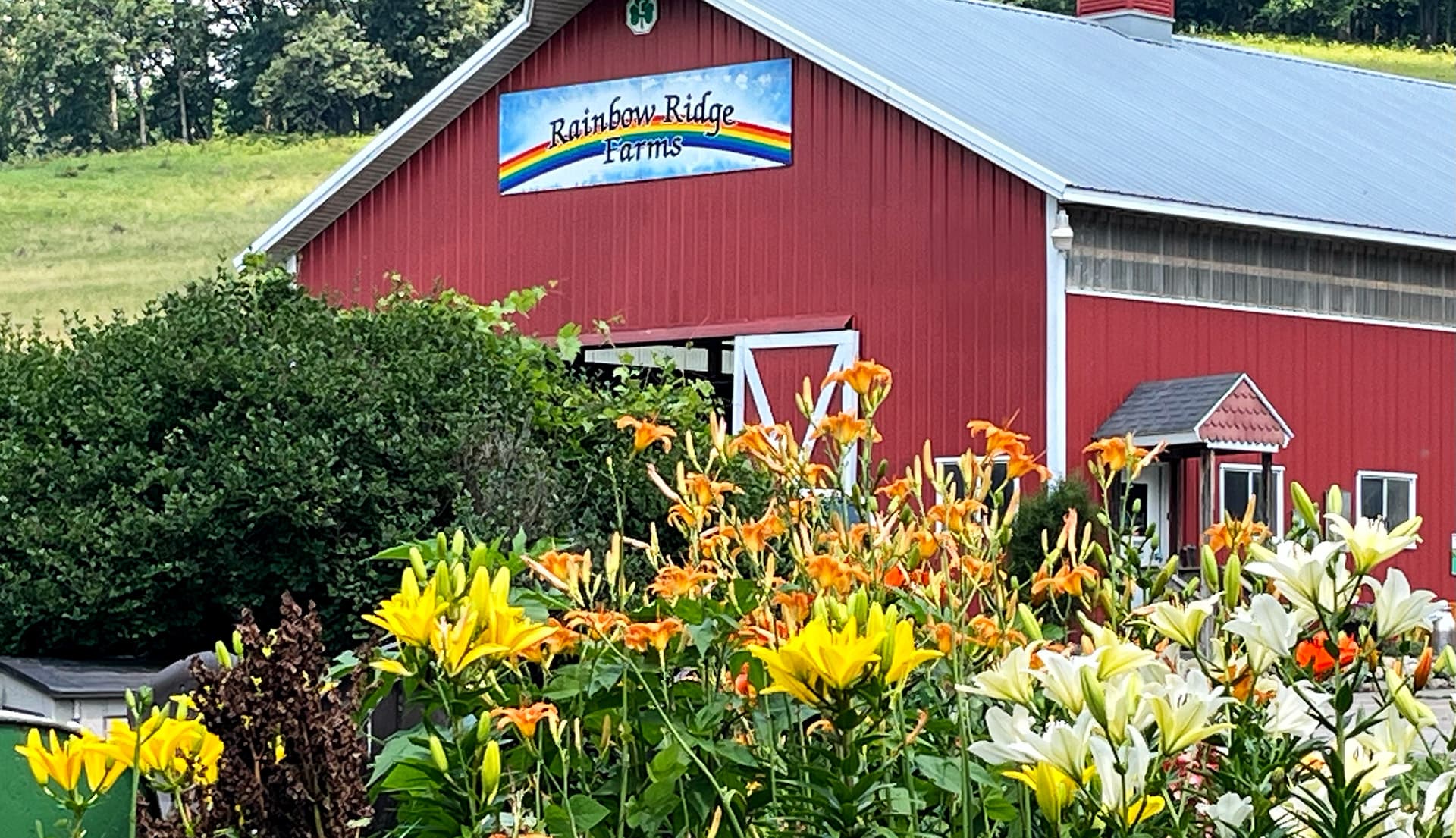 A red barn with the sign "Rainbow Ridge Farms" is surrounded by colorful flowers.