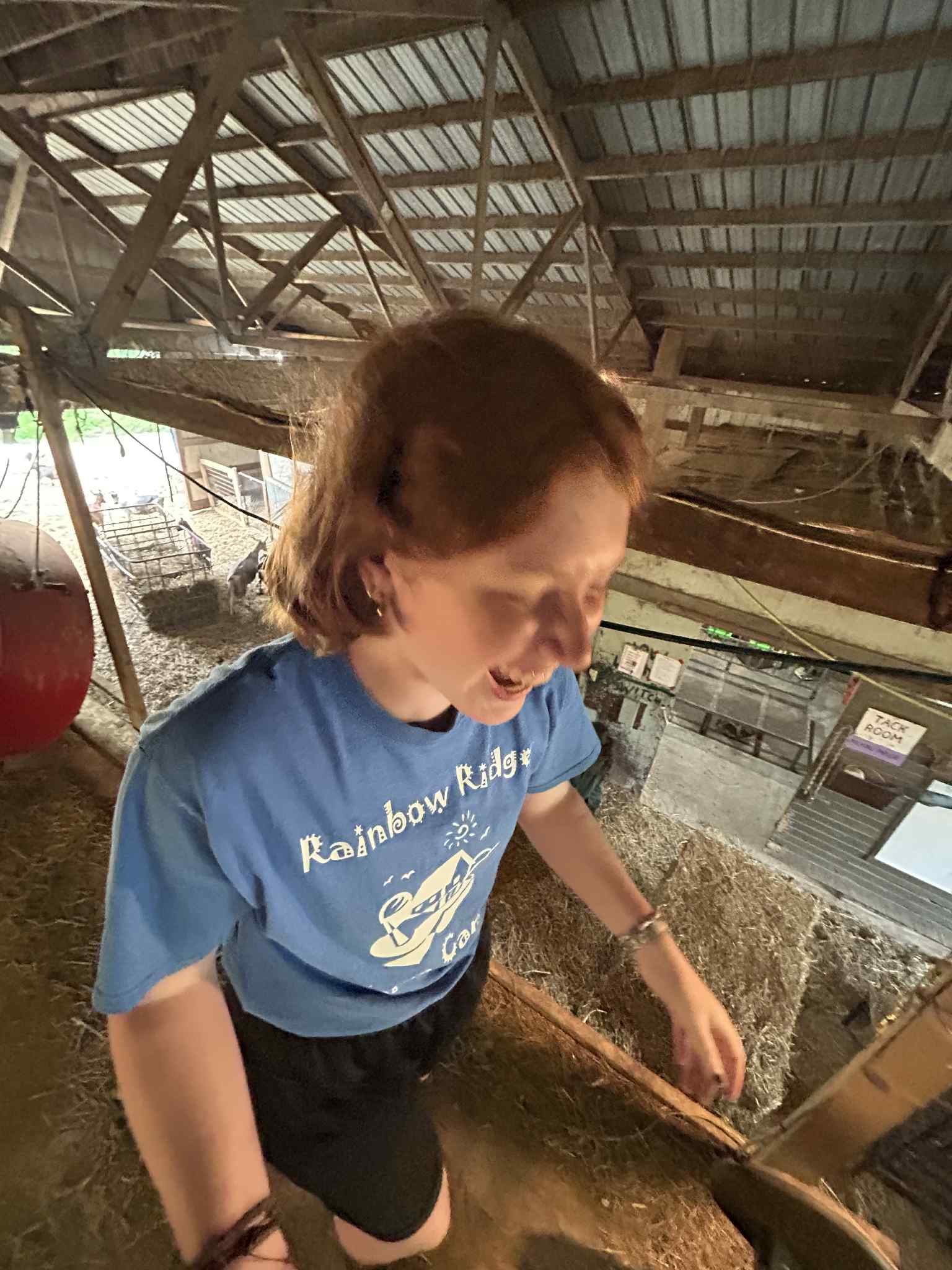 A person wearing a blue "Rainbow Ridge" shirt walks on a wooden loft in a barn.