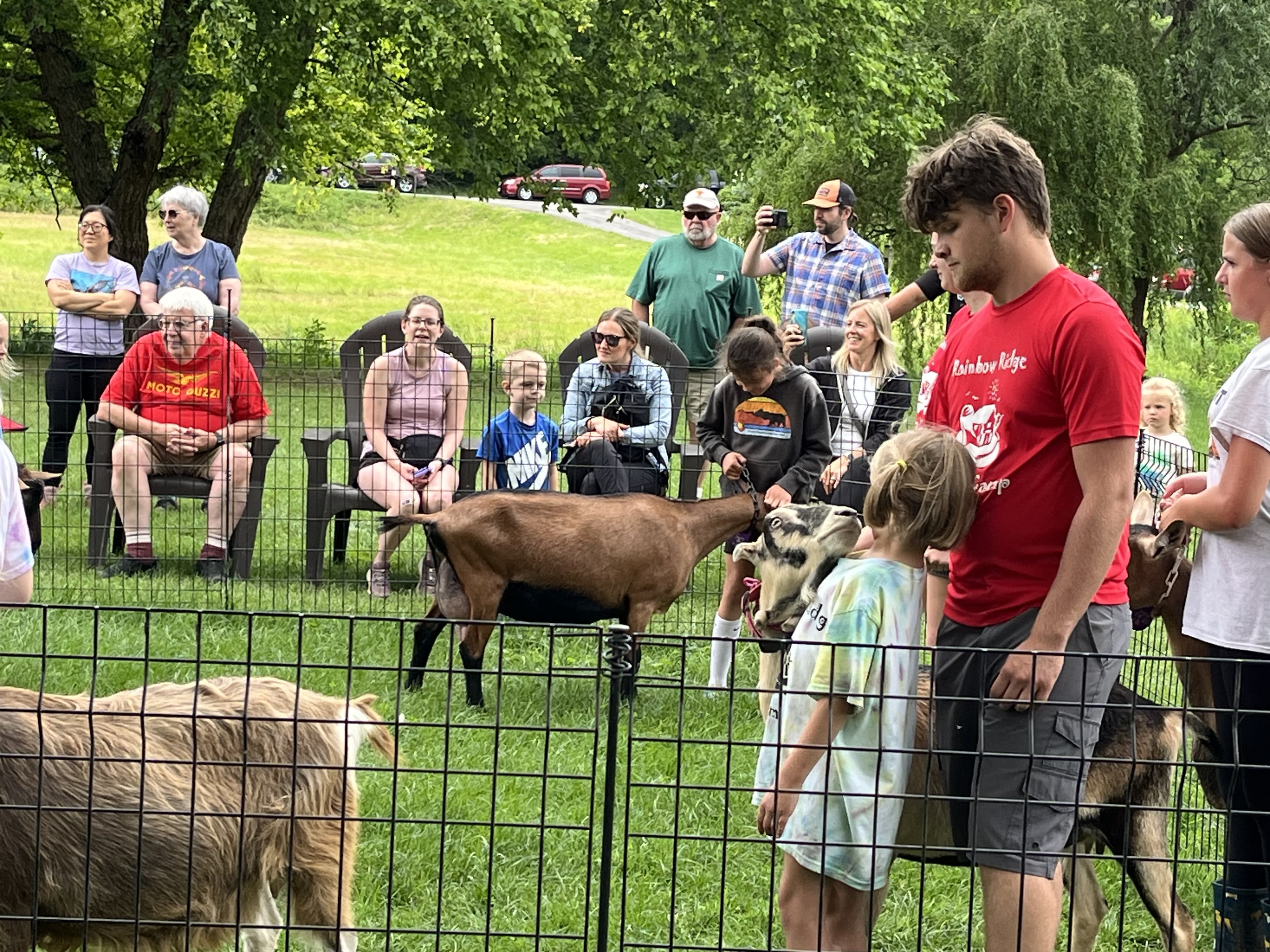 A crowd watches children interact with goats at an outdoor event.